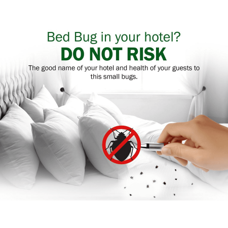 Bed Bug Pest Control