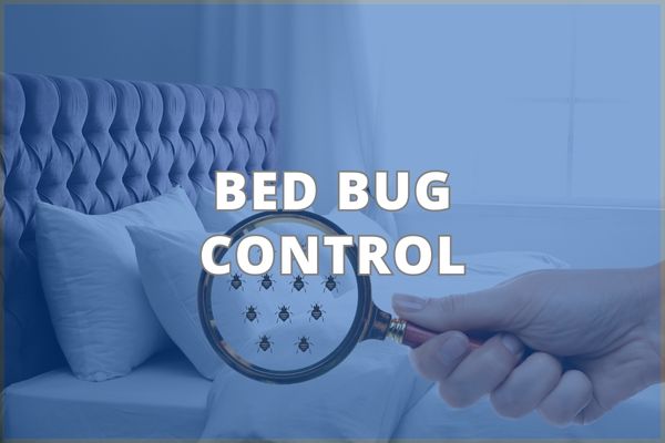Bed Bug Control Service