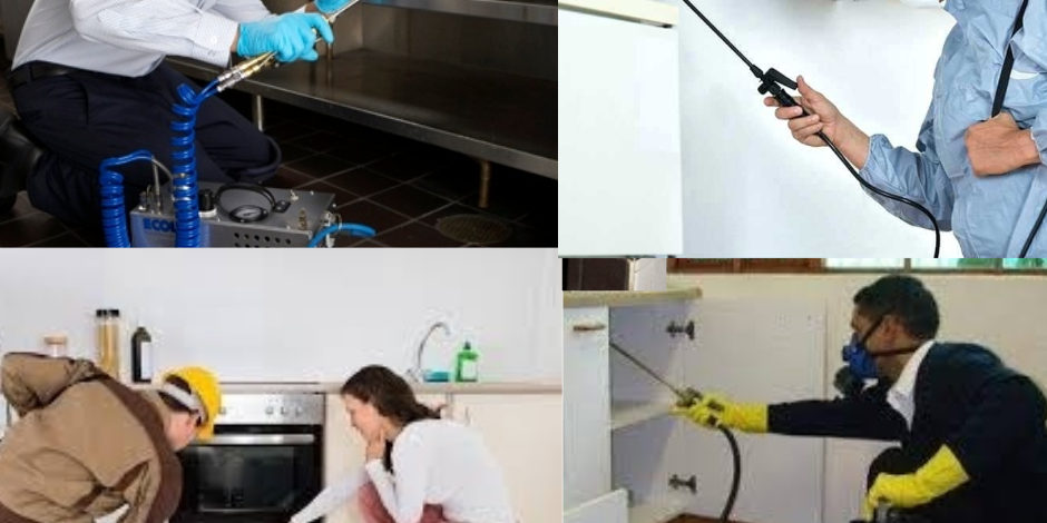 Best Pest Control Company in India