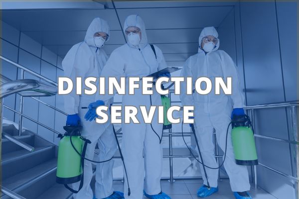 Disinfection Service