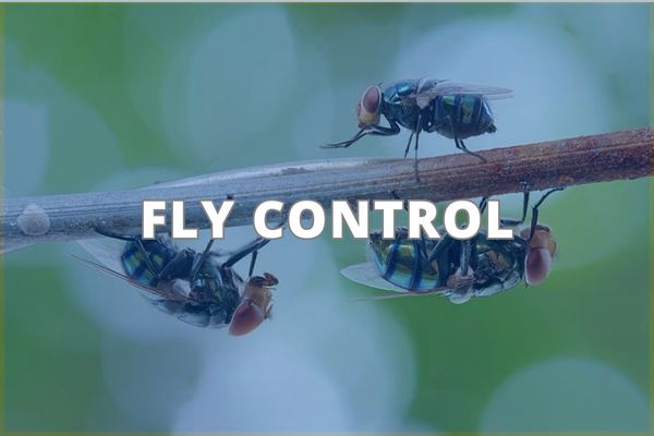 Fly Control Service