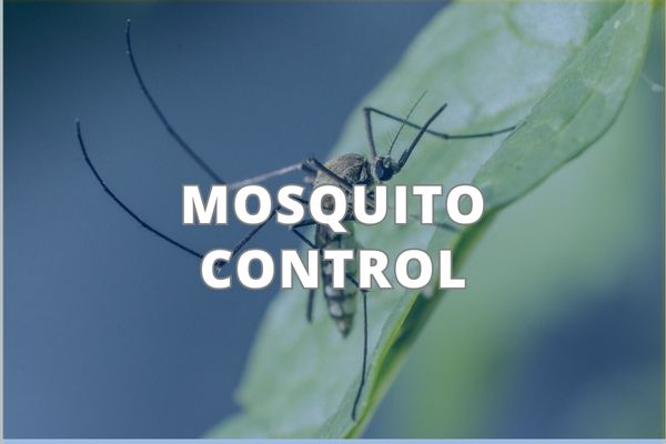 Mosquito Control Service